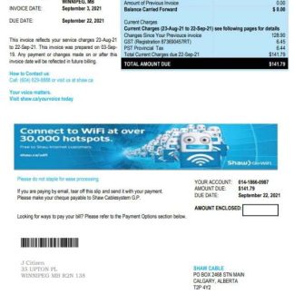Canada Shaw utility bill download template file