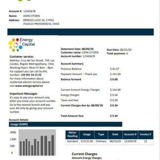 Chile Energy Capital utility bill download template file