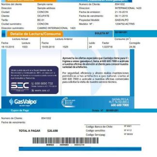 Chile GasValpo utility bill download template file