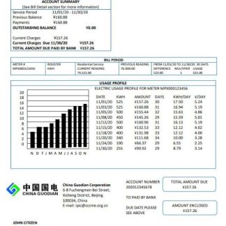China Guodian Corporation electricity utility bill download template file