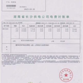 CHINA STATE POWER GRID utility bill Word and PDF template download template file