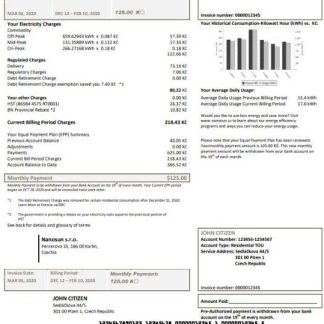 Czech Republic Nanosun s.r.o utility bill download template file