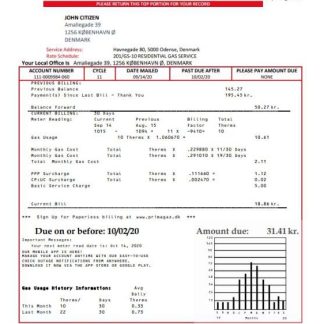 Denmark Primagaz Denmark gas utility bill template in Word and PDF format download template file
