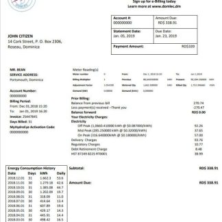 Dominica Electricity Services Limited electricity utility bill template in Word and PDF format download template file