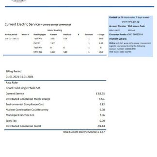 Egypt Egyptian Electricity utility bill template in Word and PDF format download template file