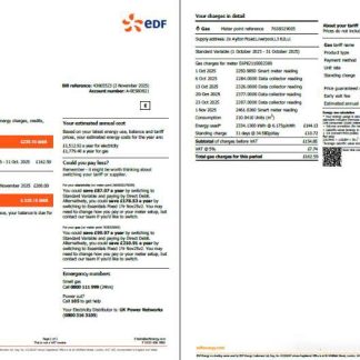 France EDF utility bill template in Word and PDF formats, 2 pages download template file
