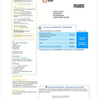 France electricity EDF 2 pages download template file