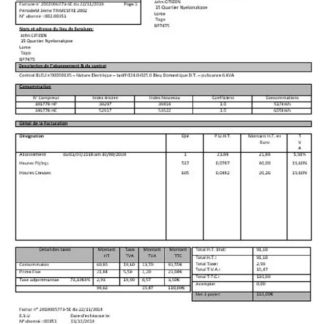France Energies & Services Régie Municipal d’ Electricité Sarre Union electricity utility bill download template file