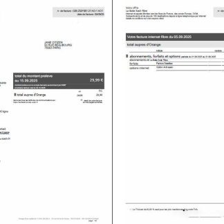 France Sosh utility bill template in Word and PDF formats, 2 pages download template file