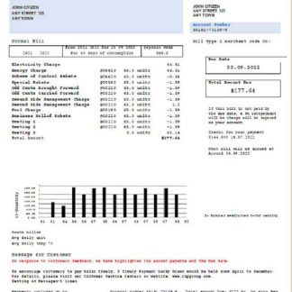 Hong Kong CLP Power Hong Kong Limited utility bill download template file