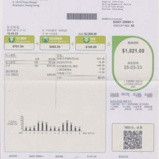 Hong Kong CLP power utility bill in PSD format download template file
