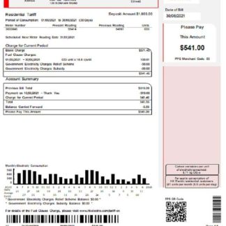 Hong Kong Hongkong Electric Company utility bill download template file