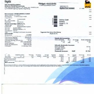 HUNGARY TIGAZ utility bill Word and PDF template download template file
