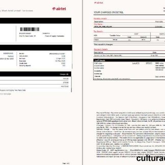 India airtel utility bill template in Word and PDF formats, 2 pages, version 3 download template file