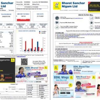 India Bharat Sanchar Nigam Limited utility bill template in Word and PDF formats, 2 pages download template file