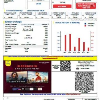 India Bharat Sanchar Nigam Limited utility bill template in Word and PDF formats, version 4 download template file