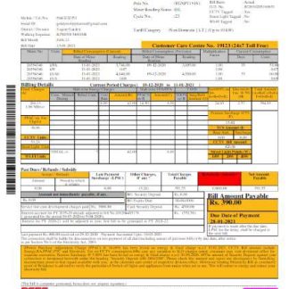 INDIA BSES electricity utility bill Word and PDF template download template file