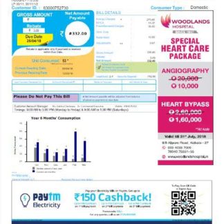INDIA CESC LIMITED utility bill Word and PDF template download template file