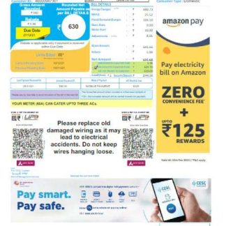 INDIA CESC LIMITED utility bill Word and PDF template, version 2 download template file