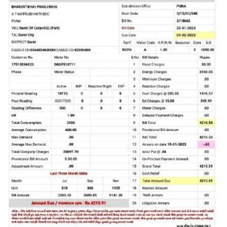 INDIA DGVCL utility bill Word and PDF template download template file