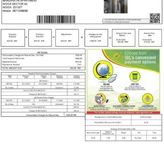 India INDRAPRASTHA GAS LIMITED utility bill download template file
