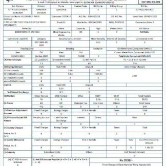 INDIA PSPCL utility bill Word and PDF template download template file