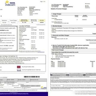 India Tata Indicom mobile utility bill template in Word and PDF format, 2 pages download template file