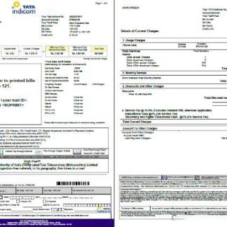 India Tata Indicom utility bill template in Word and PDF formats, 2 pages download template file