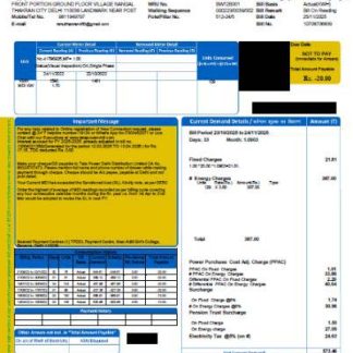 India Tata Power Company Limited utility bill template in Word and PDF formats download template file
