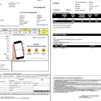 India Tata Tele Broadband utility bill template in Word and PDF formats, 2 pages download template file