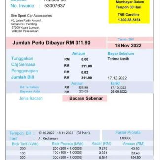 INDIA TENAGA NASIONAL utility bill Word and PDF template download template file