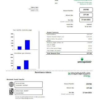 Australia Momentum Energy utility bill download template file