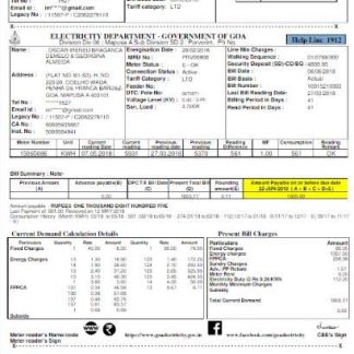 INIDA ELECTRICITY DEPARTMENT GOVERNMENT OF GOA utility bill Word and PDF template download template file