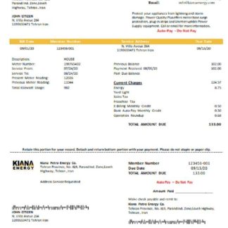Iran Kiana Petro Energy Co utility bill download template file