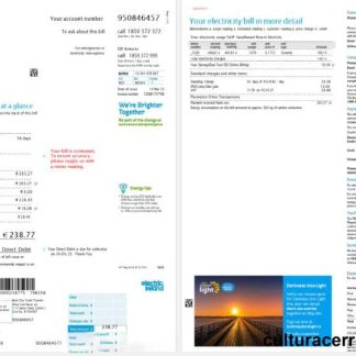 Ireland Electric Ireland utility bill template in Word and PDF format, version 2, 2 pages download template file