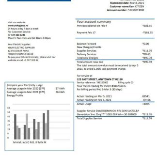 Kazakhstan Yokogawa Electric Kazakhstan utility bill template in Word and PDF format (.doc and .pdf) download template file