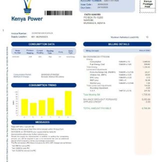 KENYA KENYA POWER utility bill Word and PDF template download template file