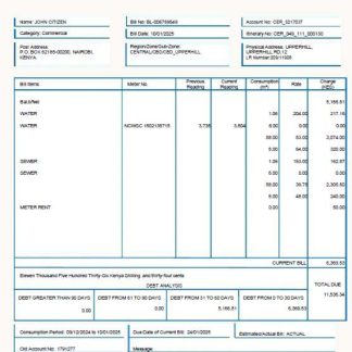 Kenya Nairobi City Water and Sewerage Company utility bill template in Word and PDF formats download template file