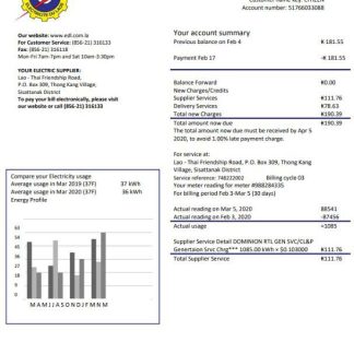 Laos Electricite du Laos electricity utility bill template in Word and PDF format download template file