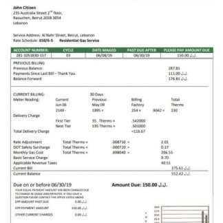 Lebanon Electricity of Lebanon utility bill template in Word and PDF format download template file