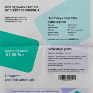 Lithuania Ignitis electricity bill download template file