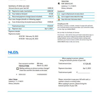 Lithuania National Lithuanian Energy Association utility bill Word and PDF template download template file