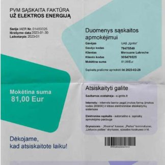 LITVA IGNITIS utility bill Word and PDF template download template file