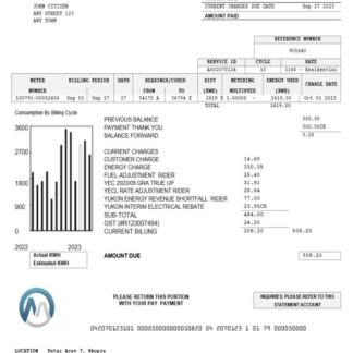 Macedonia MGI Energetika utility bill Word and PDF template download template file