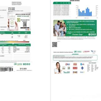 Mexico Federal Electricity Commission (CFE) utility bill template in Word format, 2 pages download template file