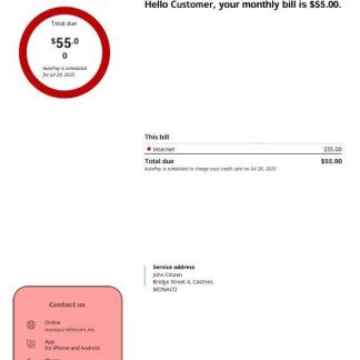 Monaco telecom internet utility bill, 3 pages download template file