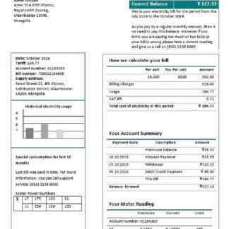 Mongolia Energy Corporation (MEC) electricity utility bill template in Word and PDF format download template file