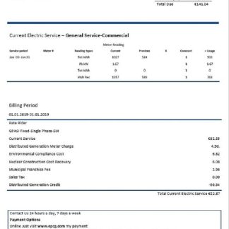Montenegro Elektroprivreda Crne Gore (EPCG) electricity utility bill template in Word and PDF format download template file