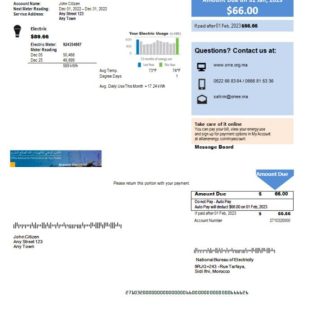 Morocco National Bureau of Electricity utility bill Word and PDF template download template file