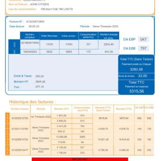 Algeria Societe Algerien Distribution internet utility bill Word and PDF template download template file